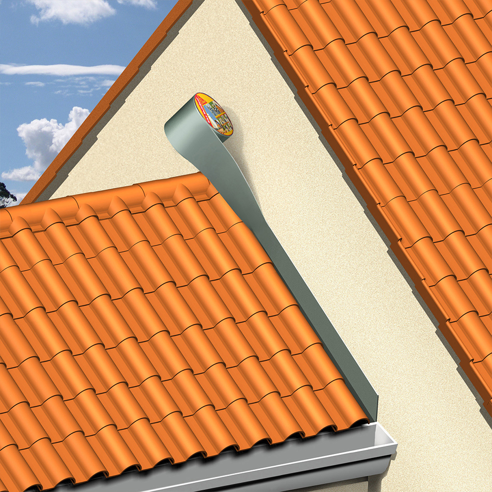 Balzak yoshidagi ayolni sikishdi